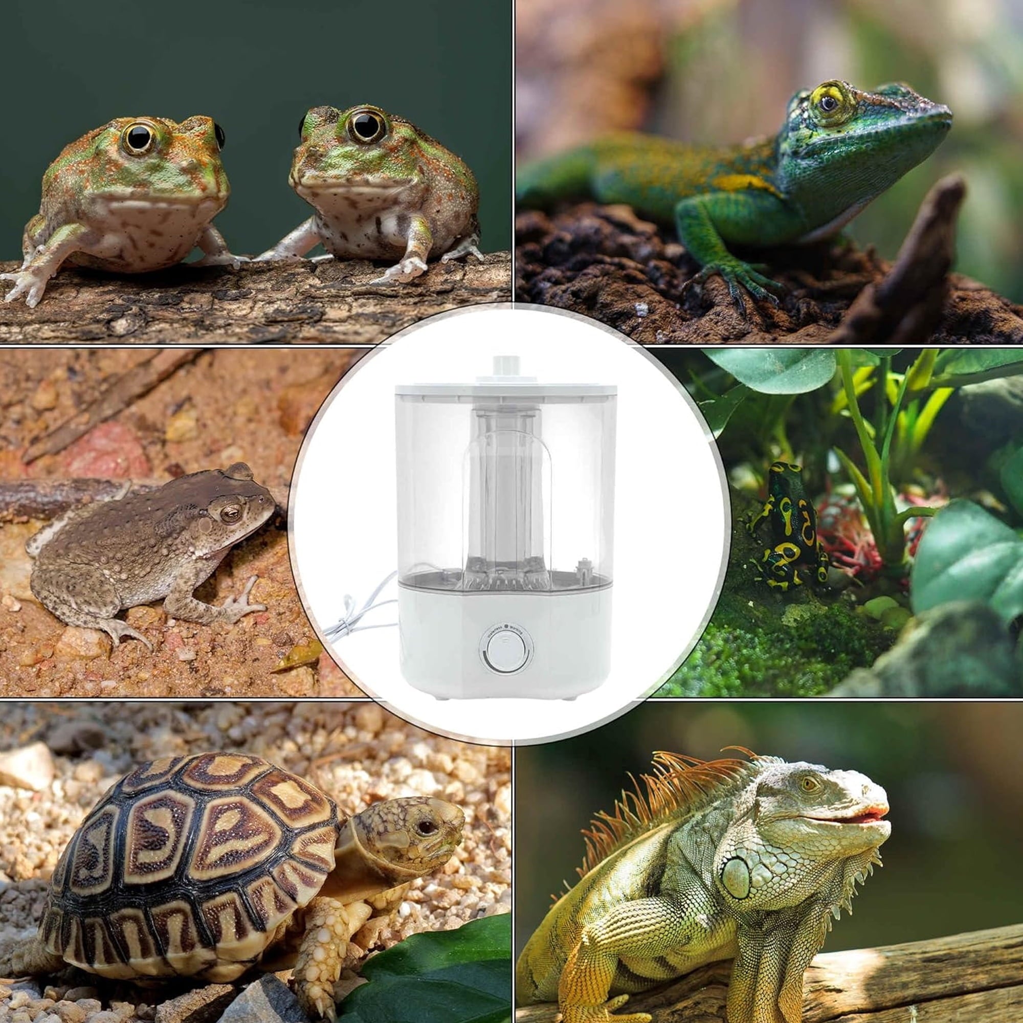 Reptile Fogger 4L Reptile Humidifier Top Fill Adjustable Fogger with Extension Hose Visible Tank Reptile Humidifier for Snakes Tortoises Chameleons and Ball Python